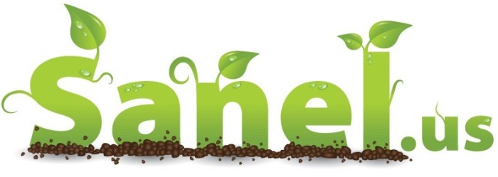 Completed Sanel.us logo